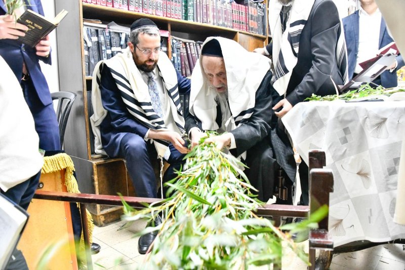שוקי לרר