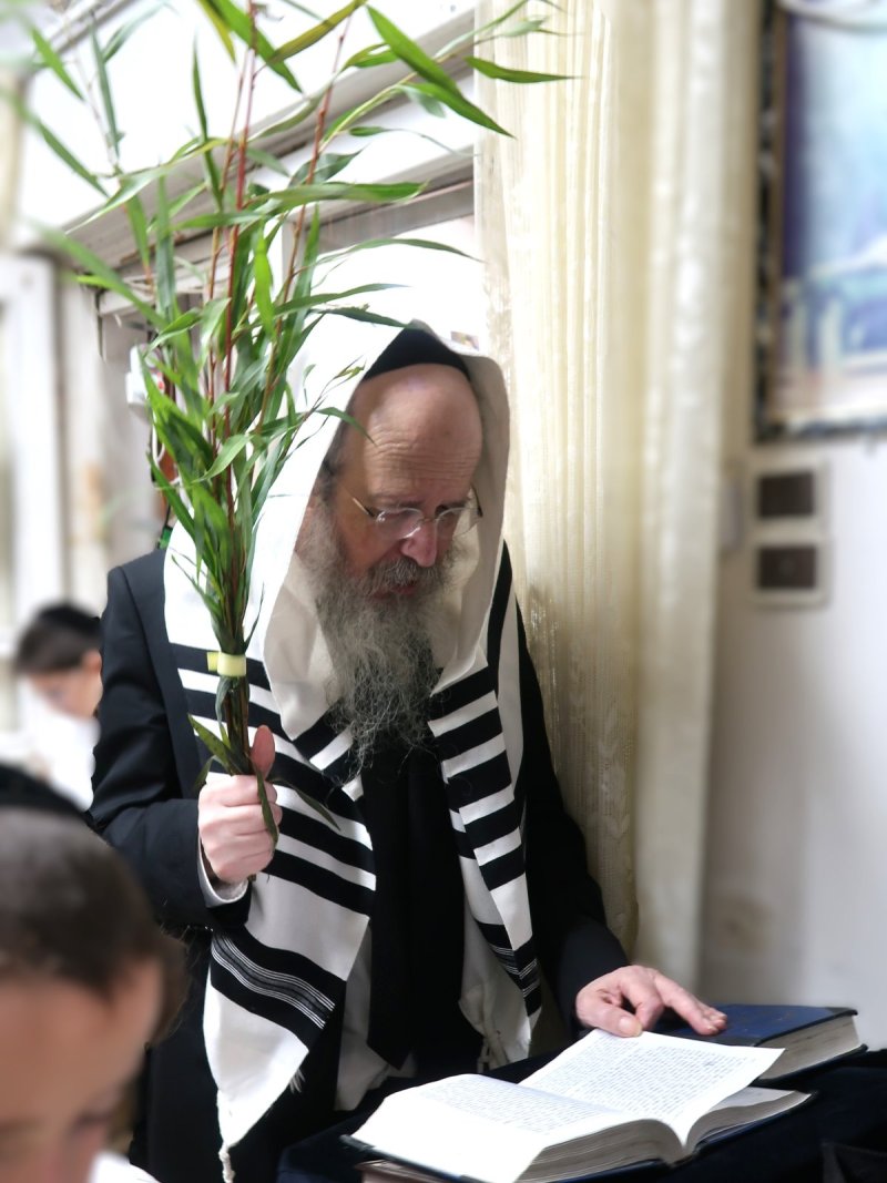 שוקי לרר