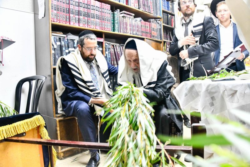 שוקי לרר