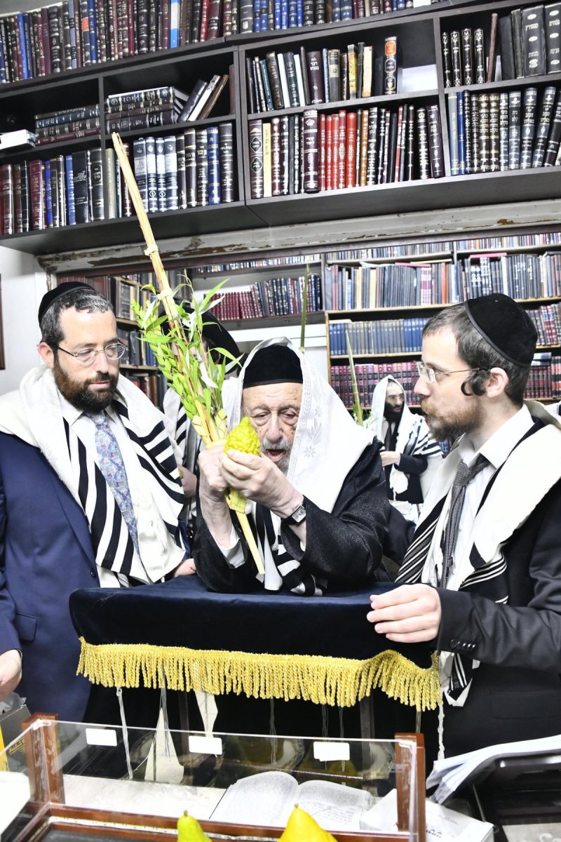 שוקי לרר