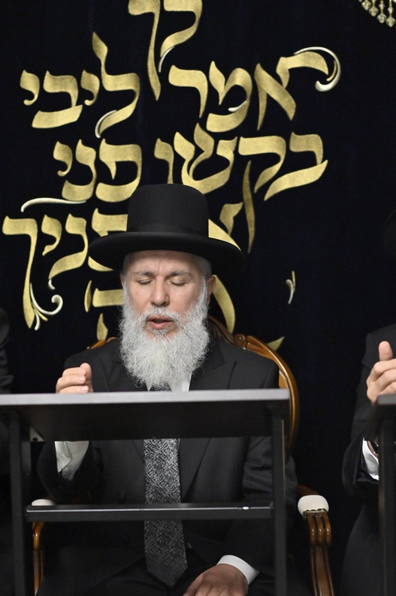 רן אילוז