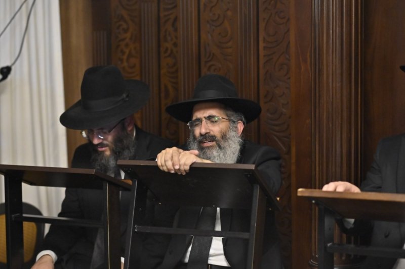 רן אילוז