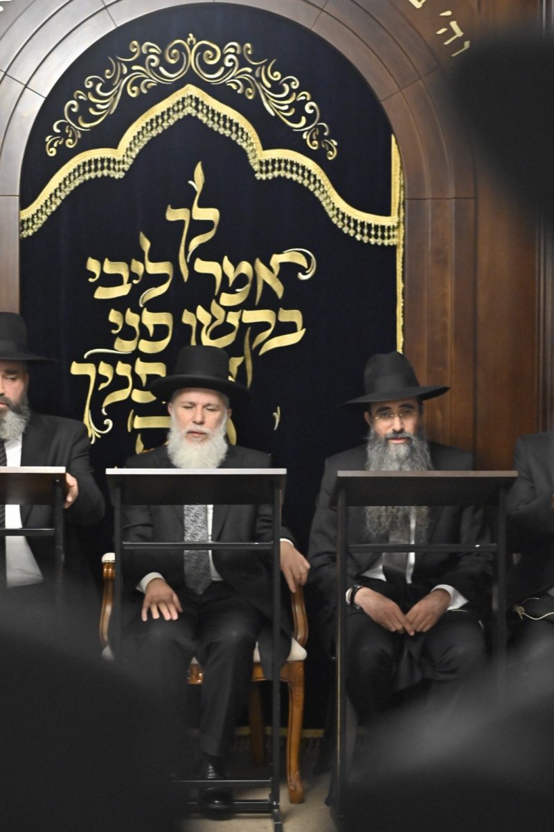 רן אילוז