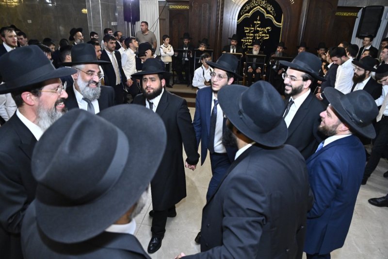 רן אילוז