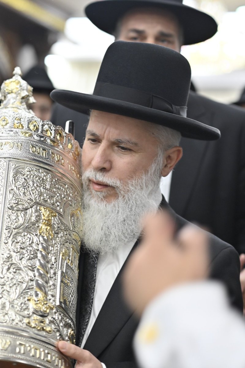 רן אילוז