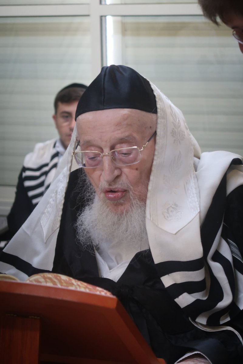שוקי לרר