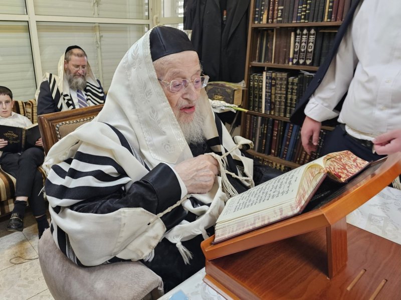 שוקי לרר
