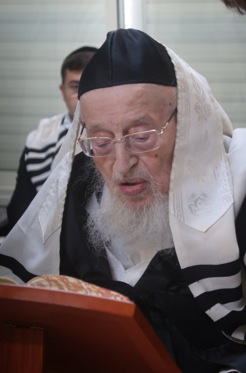 שוקי לרר
