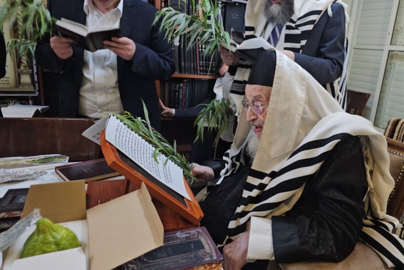 שוקי לרר