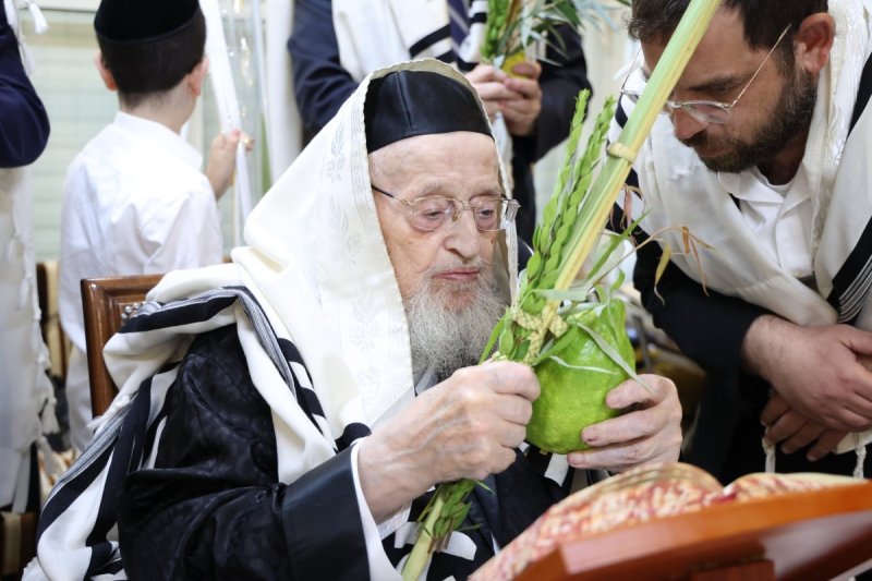 שוקי לרר