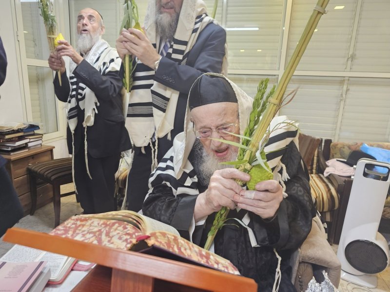 שוקי לרר