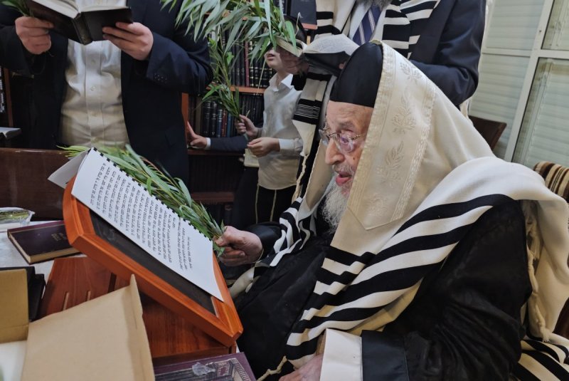 שוקי לרר