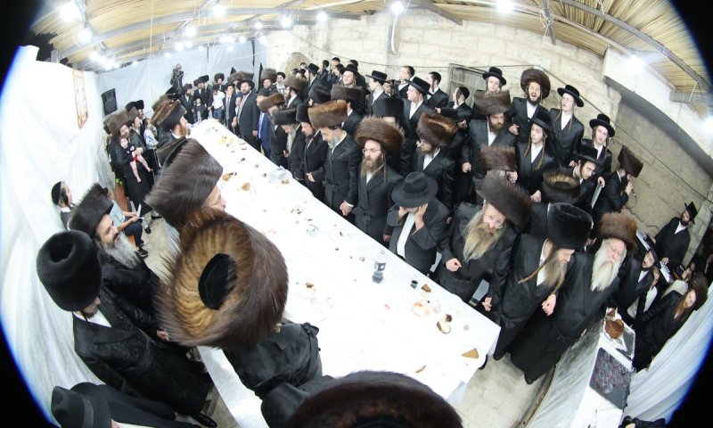 המונים נהרו לסוכה בארזי הבירה: חג הסוכות בחצר הקודש קאמרנא