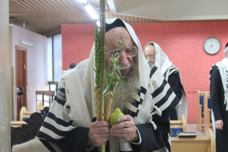 ש.פ.ה
