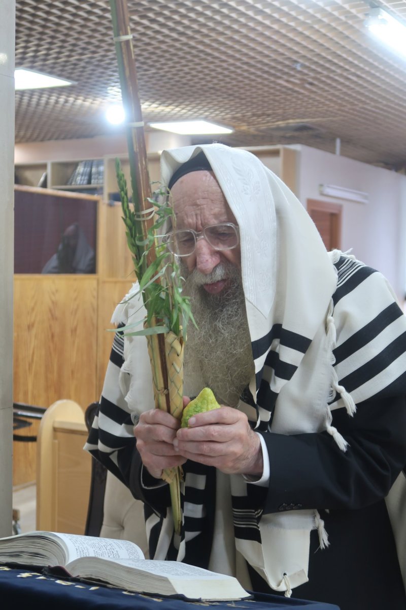 ש.פ.ה