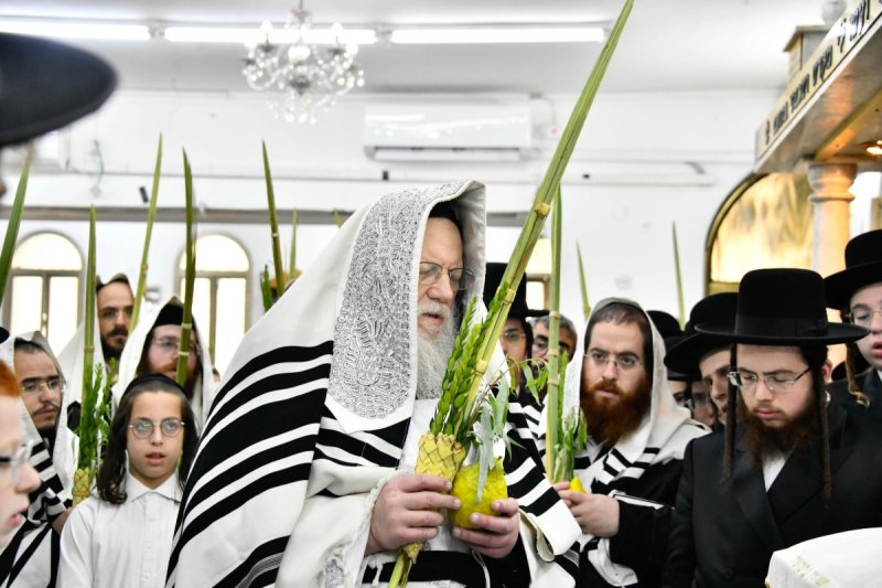 שוקי לרר
