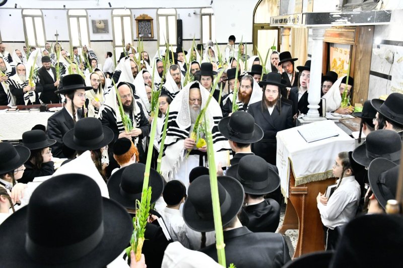 שוקי לרר