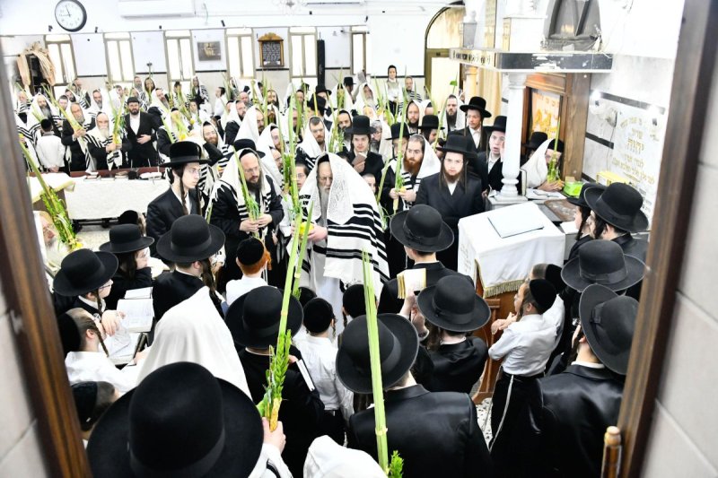 שוקי לרר