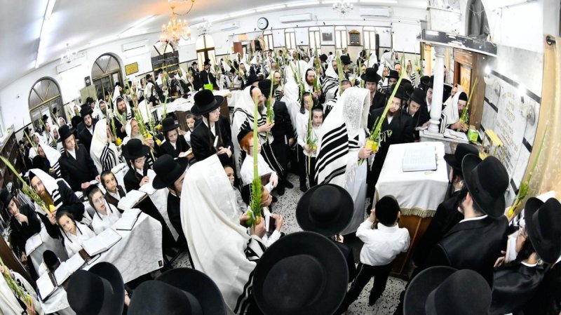 שוקי לרר