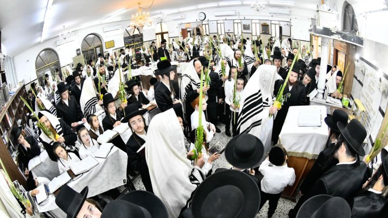 שוקי לרר