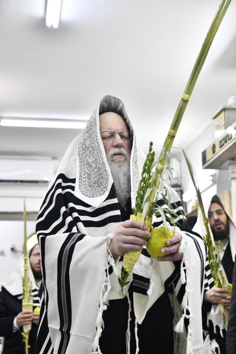 שוקי לרר