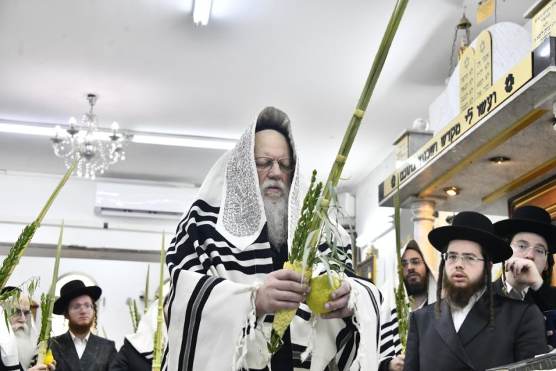 שוקי לרר