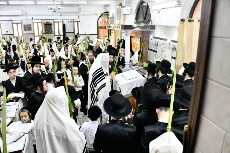 שוקי לרר