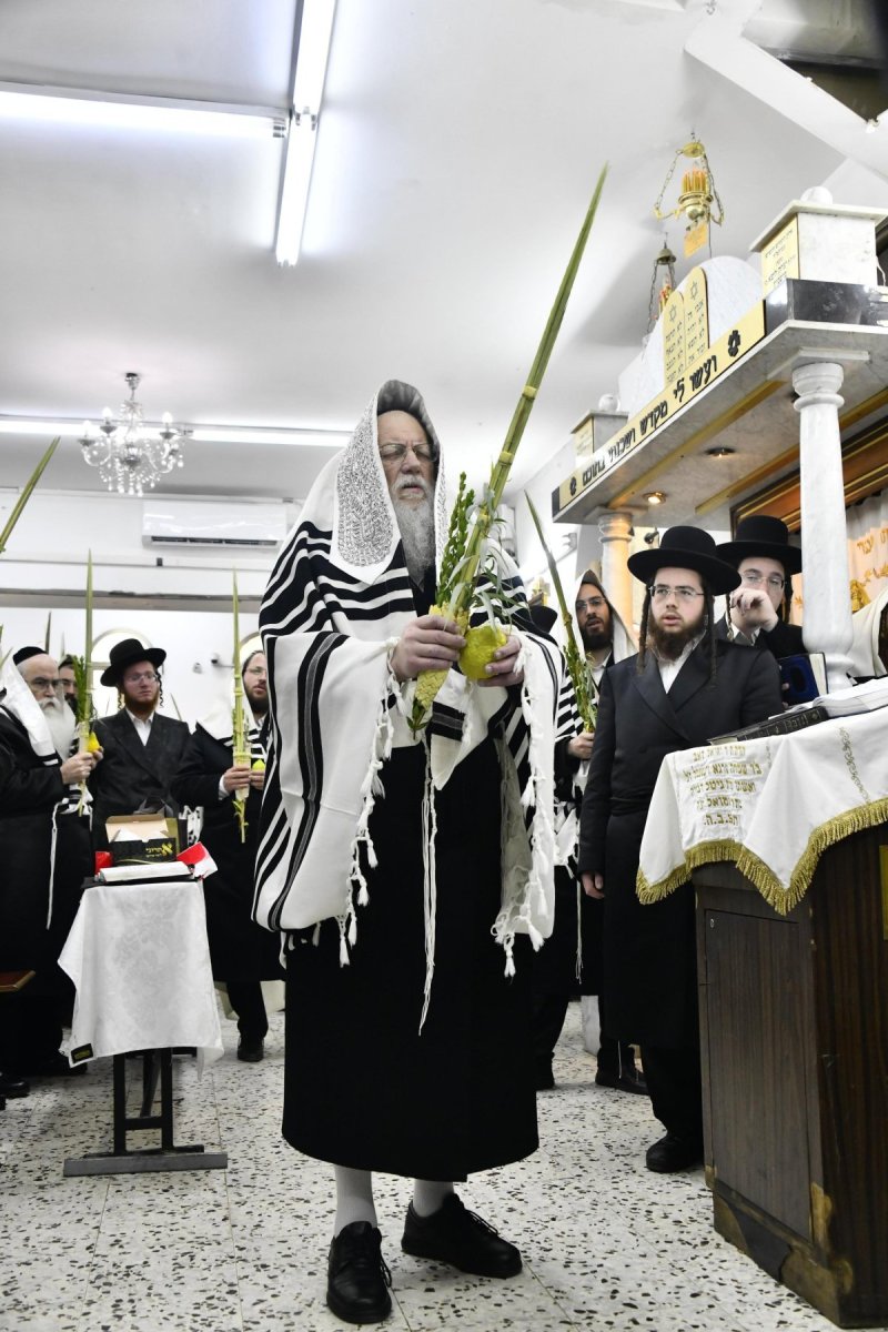 שוקי לרר