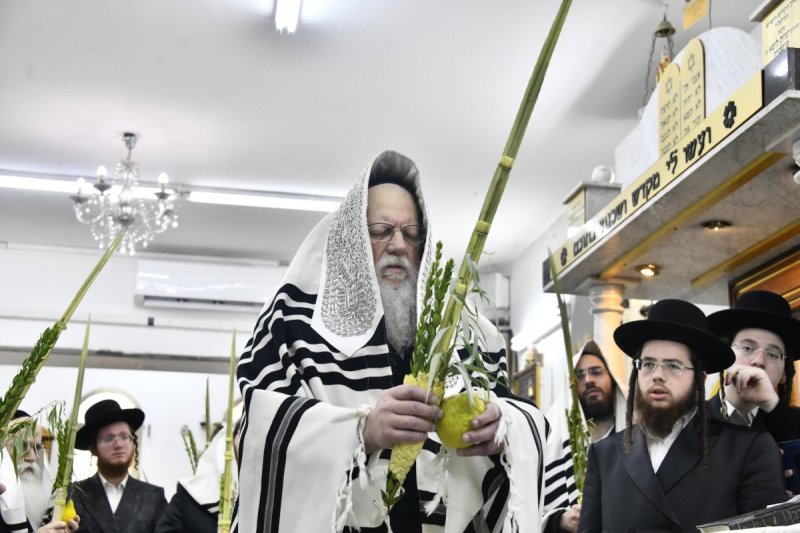 שוקי לרר