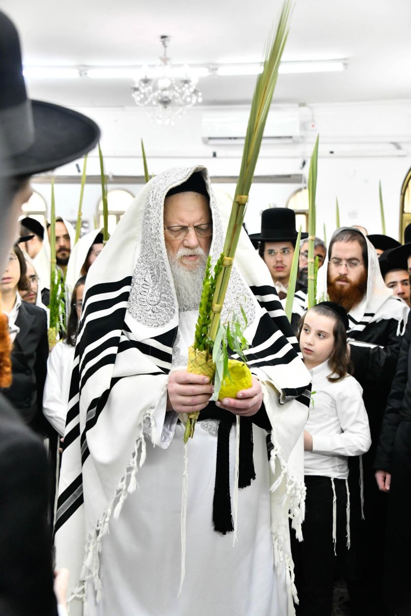 שוקי לרר