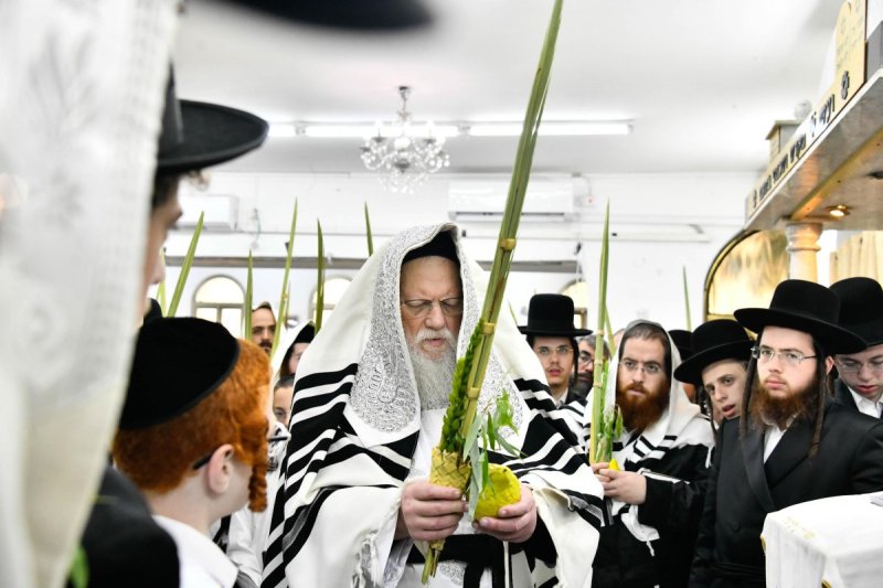 שוקי לרר