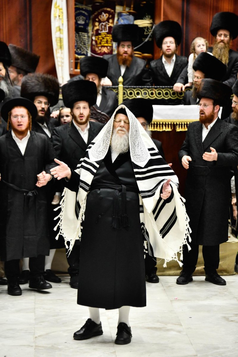 שוקי לרר
