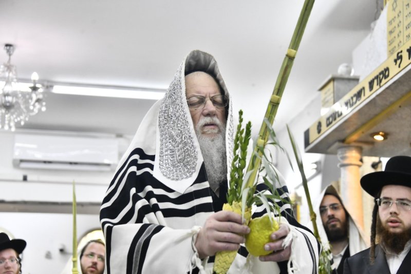 שוקי לרר
