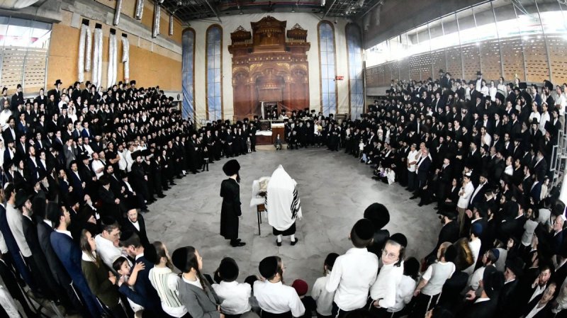 שוקי לרר