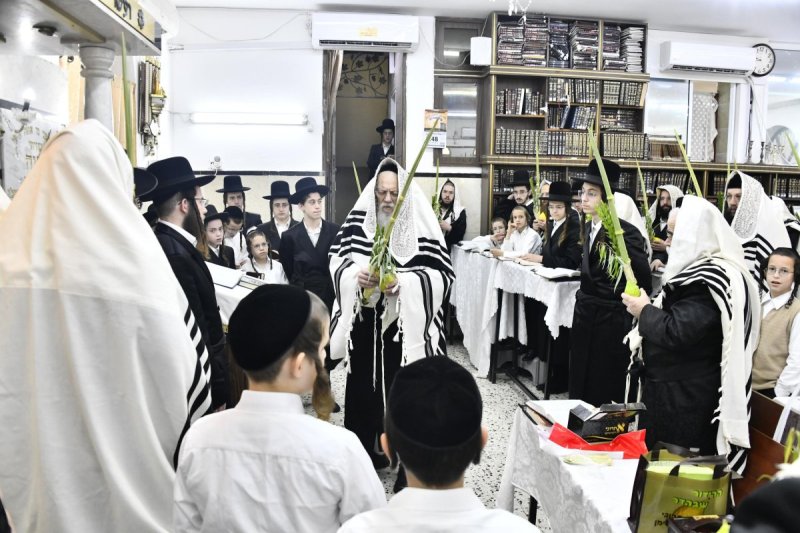 שוקי לרר