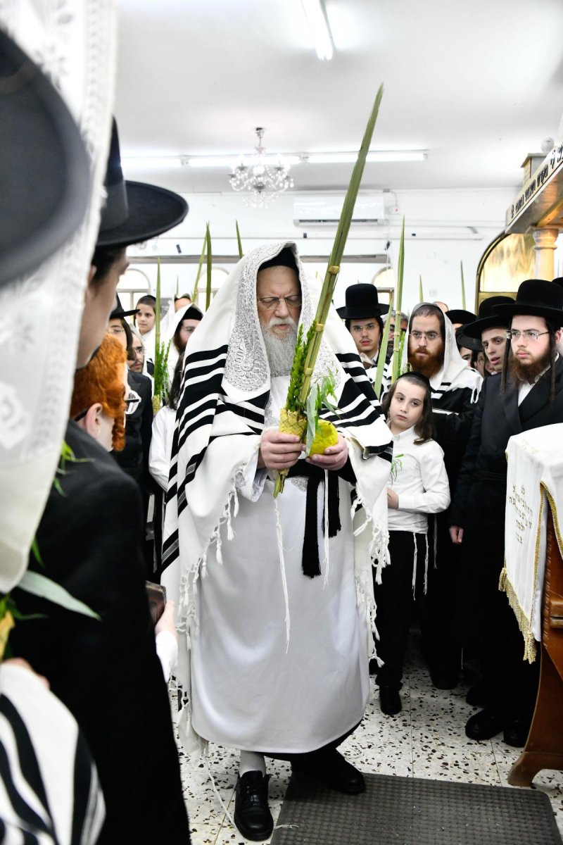 שוקי לרר