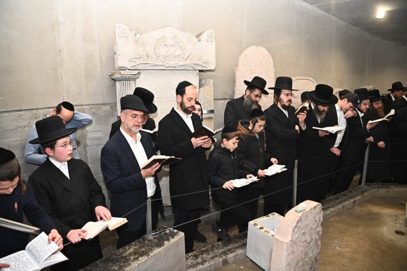 שוקי לרר