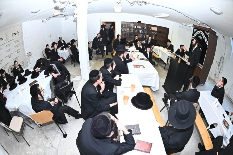 שוקי לרר