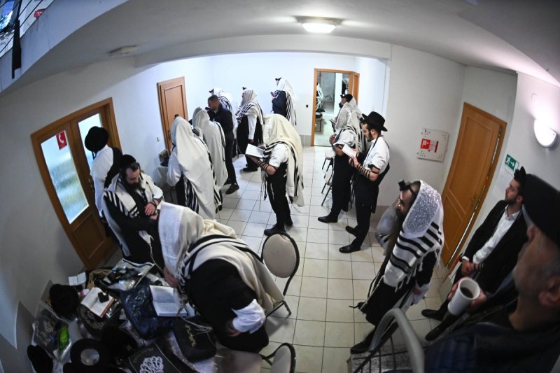 שוקי לרר