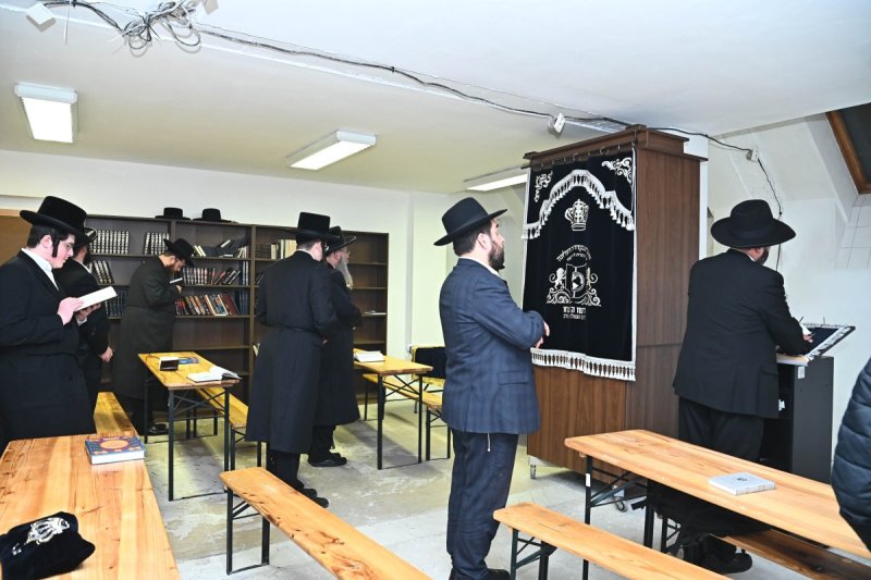 שוקי לרר