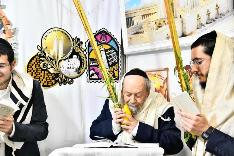 שוקי לרר