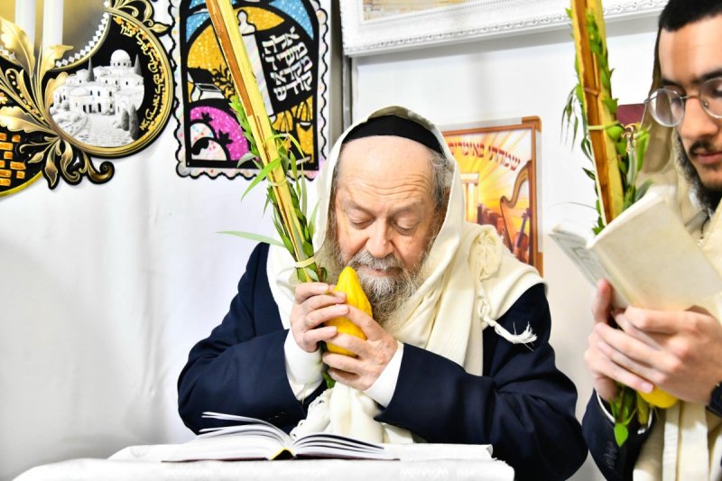 שוקי לרר