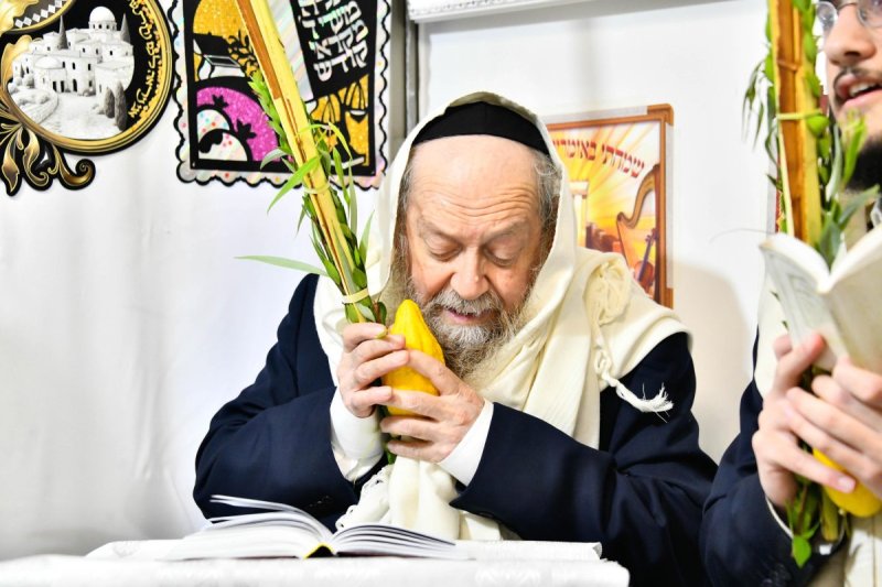 שוקי לרר