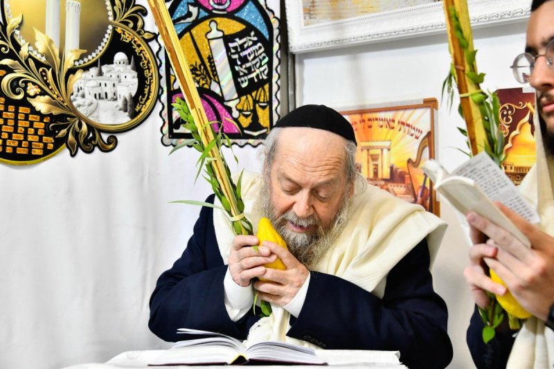 שוקי לרר