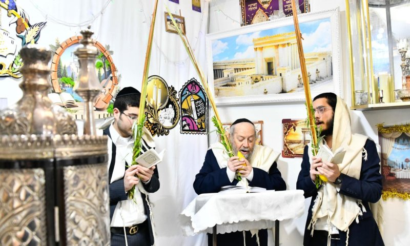 כל המצוות בסוכה: חג הסוכות אצל זקן המקובלים רבי דוד בצרי