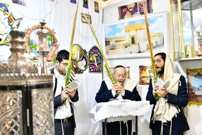 שוקי לרר