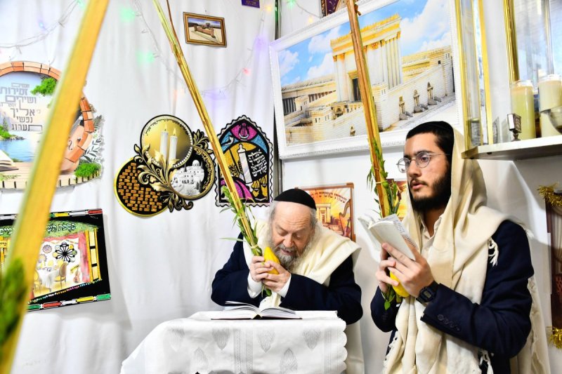 שוקי לרר