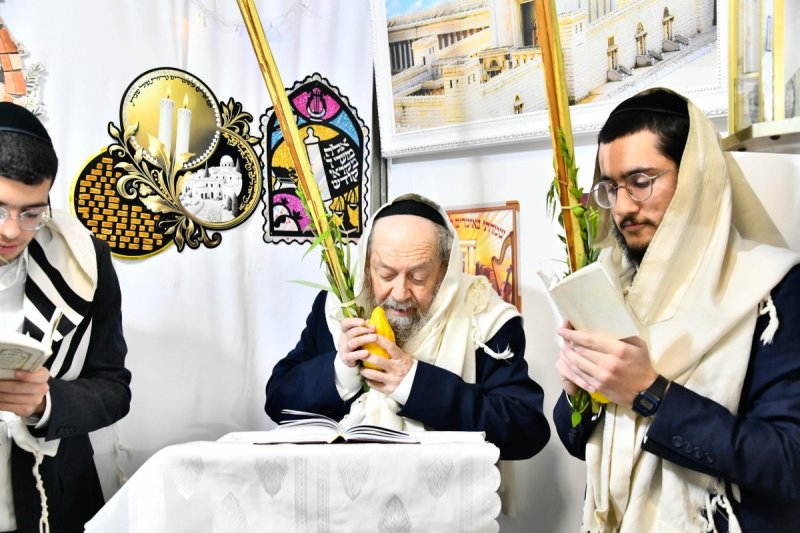 שוקי לרר