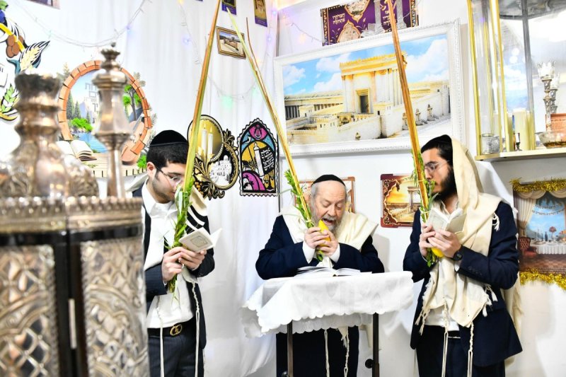 שוקי לרר
