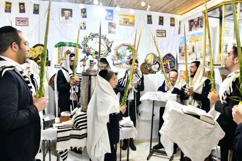 שוקי לרר